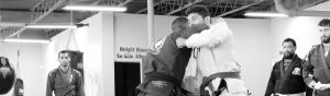 Renzo Gracie Chicago Adult Program